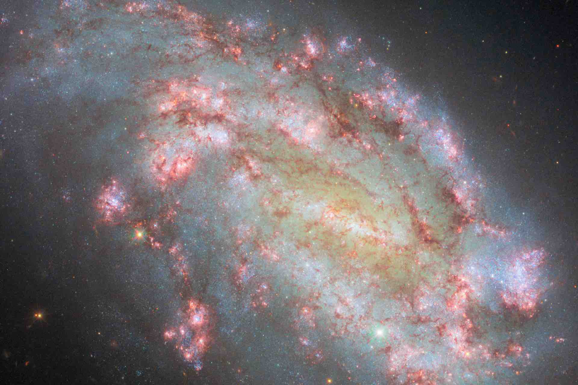 Hubble captures multiwavelength view of galaxy NGC 3156, 35 million light-years away